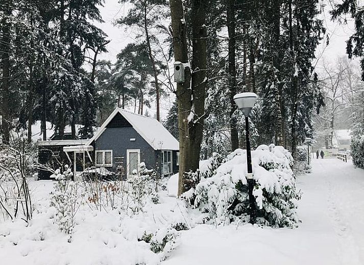 Cottage in Lochem mit gruenem Garten und Eichhoernchen, Ferienhaus in Gelderland.