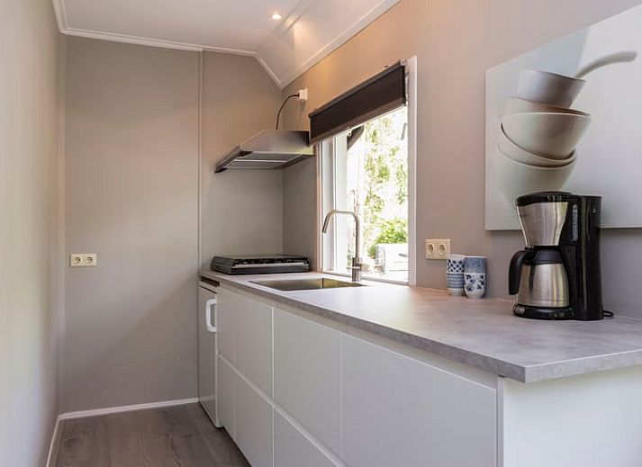 Cottage in Lochem mit gruenem Garten und Eichhoernchen, Ferienhaus in Gelderland.