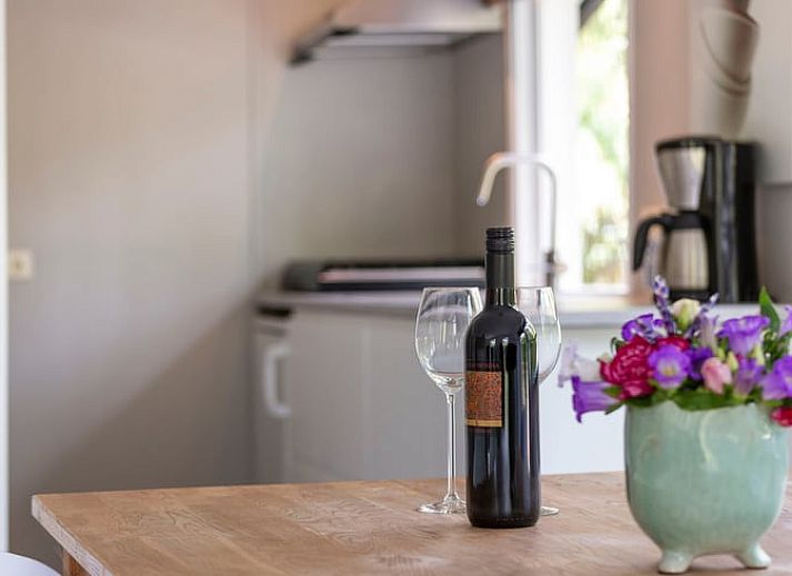 Sonnige Terrasse von Cottage in Lochem, Ferienhaus in der Achterhoek, ideal zum Entspannen.