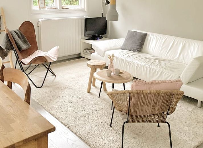 Sonnige Terrasse von Cottage in Lochem, Ferienhaus in der Achterhoek, ideal zum Entspannen.