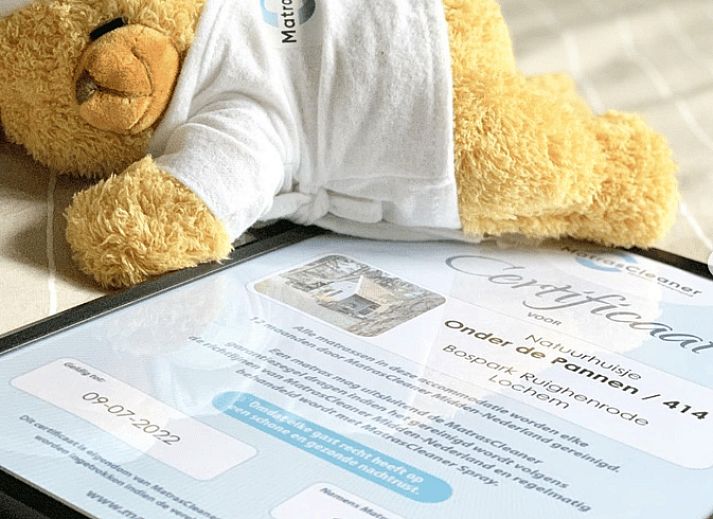 Schneebedecktes Cottage in Lochem, charmantes Ferienhaus im winterlichen Achterhoek, Gelderland.