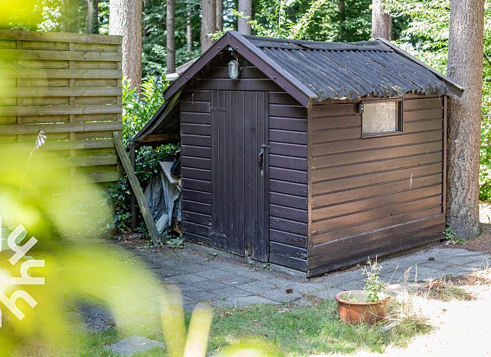 Vogelhuisje in de natuur bij DG1545 vakantiehuis in Lochem, Achterhoek, Gelderland.