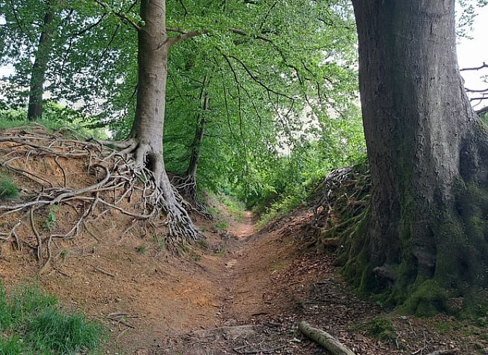 Gezellige zithoek in Vakantiehuisje in Lochem met uitzicht op de groene omgeving van de Achterhoek, Gelderland.