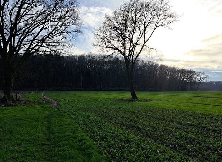 Gezellige zithoek in Vakantiehuisje in Lochem met uitzicht op de groene omgeving van de Achterhoek, Gelderland.
