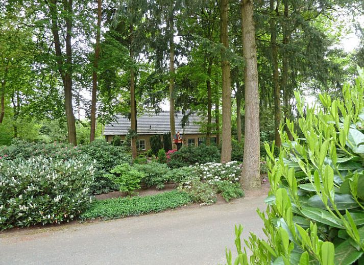 Guest house 292137 • Holiday property Achterhoek • Vakantiehuis Bosrijk Ruighenrode 