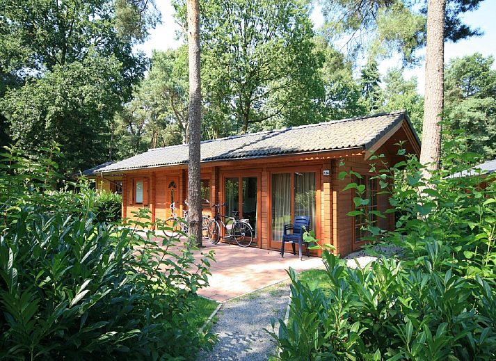 Verblijf 292144 • Chalet Achterhoek • Resort De Achterhoek 1