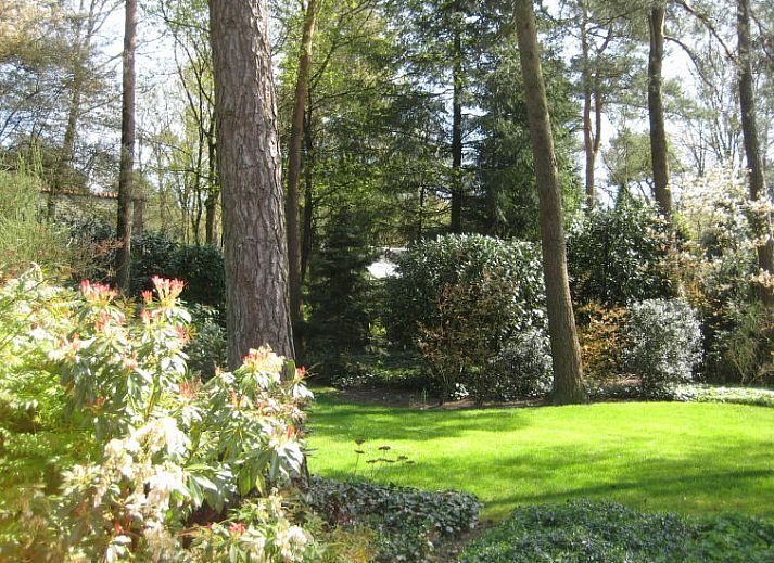 Volledig uitgeruste keuken in Vakantiehuis 4L, Lochem, Achterhoek met moderne apparatuur voor een comfortabel verblijf in Gelderland.