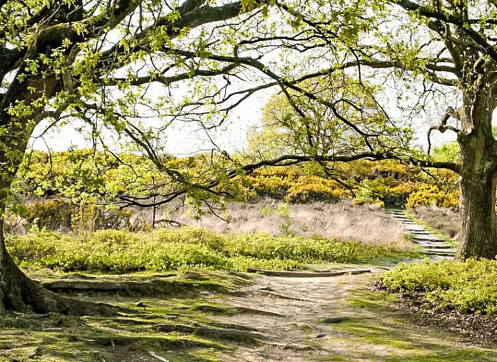 Volledig uitgeruste keuken in Vakantiehuis 4L, Lochem, Achterhoek met moderne apparatuur voor een comfortabel verblijf in Gelderland.