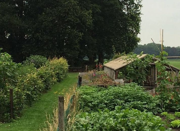 Sfeervol winterlandschap bij Huisje in Lochem, vakantiehuis in de besneeuwde natuur van de Achterhoek, Gelderland.