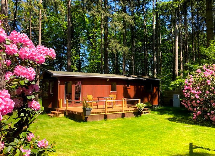Verblijf 292166 • Chalet Achterhoek • Velthorst 6