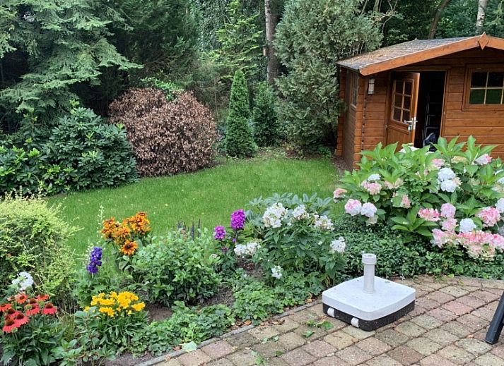 Guest house 292174 - Chalet Achterhoek - 330