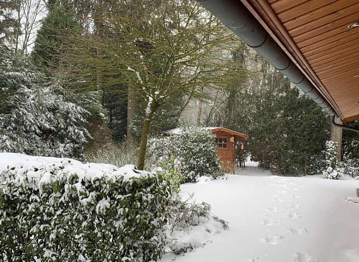 Guest house 292174 - Chalet Achterhoek - 330