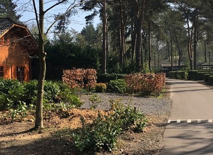 Guest house 292174 - Chalet Achterhoek - 330