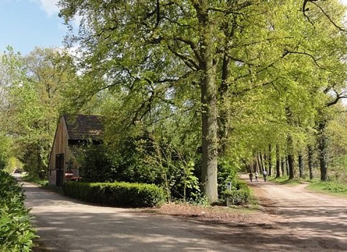 Guest house 292174 - Chalet Achterhoek - 330