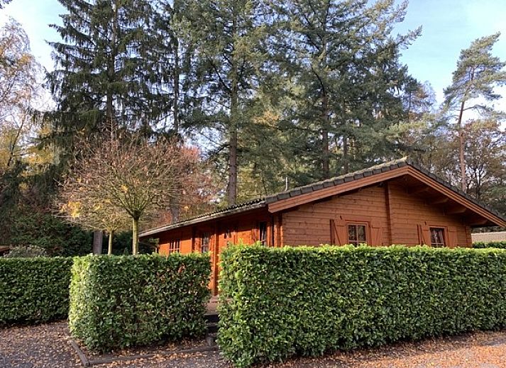 Guest house 292174 - Chalet Achterhoek - 330