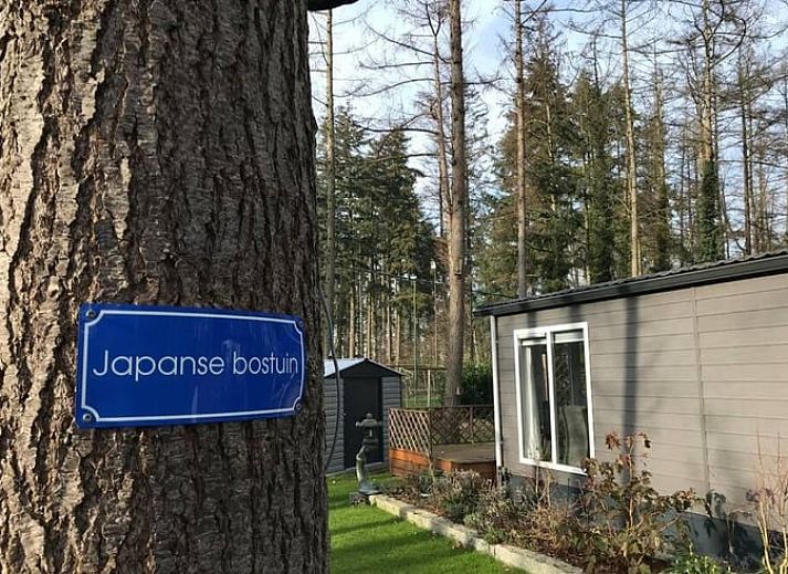 Ferienhaus in Lochem mit bluehendem Garten und Terrasse in Achterhoek, Gelderland.