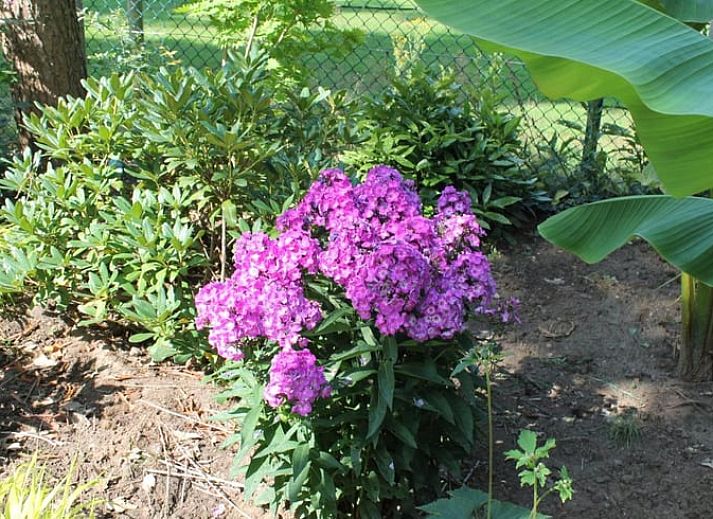 Seitenansicht des Ferienhauses in Lochem, umgeben von Natur in der Achterhoek.