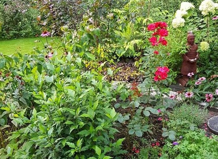Seitenansicht des Ferienhauses in Lochem, umgeben von Natur in der Achterhoek.