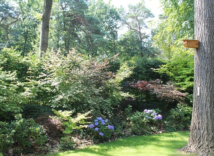 Eingang zum japanischen Waldgarten im Ferienhaus in Lochem, Achterhoek.