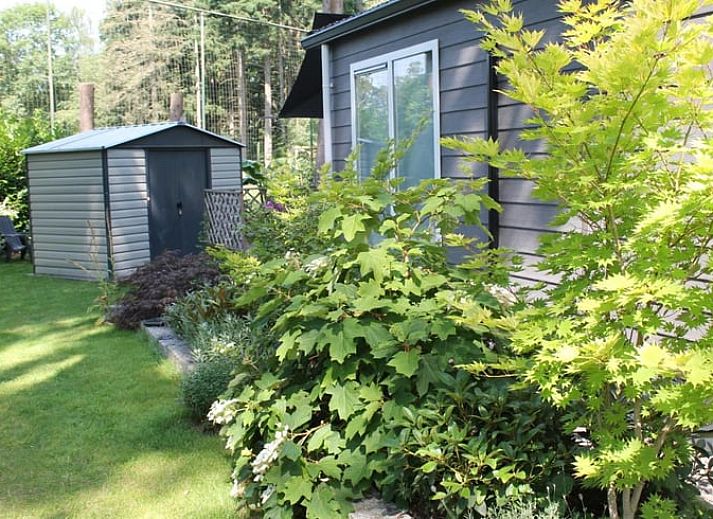 Eingang zum japanischen Waldgarten im Ferienhaus in Lochem, Achterhoek.