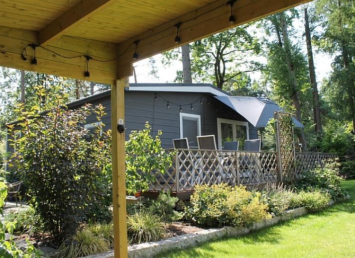 Gruener Garten mit Blumen am Ferienhaus in Lochem, ideal zum Entspannen.