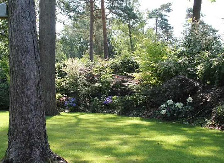 Gruener Garten mit Blumen am Ferienhaus in Lochem, ideal zum Entspannen.