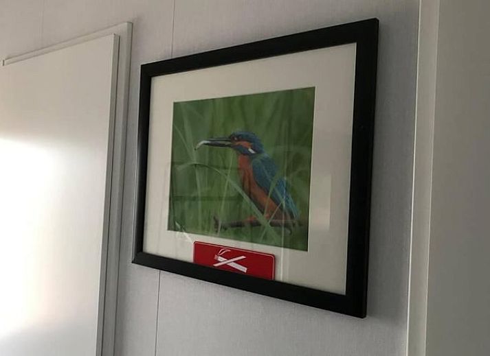 Sonniger Garten mit Schuppen im Ferienhaus in Lochem, Achterhoek, Gelderland.