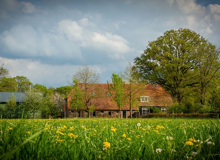 Charmant vakantiehuis in Lochem, Achterhoek, omgeven door groene natuur en rustieke architectuur in Gelderland.