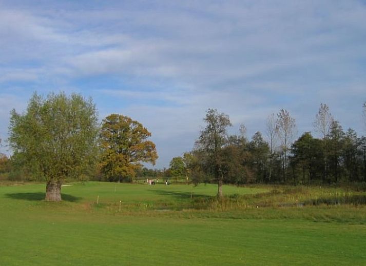 Gezellige eetkamer in Vakantiehuisje in Hengelo, Achterhoek, met uitzicht op de natuur.