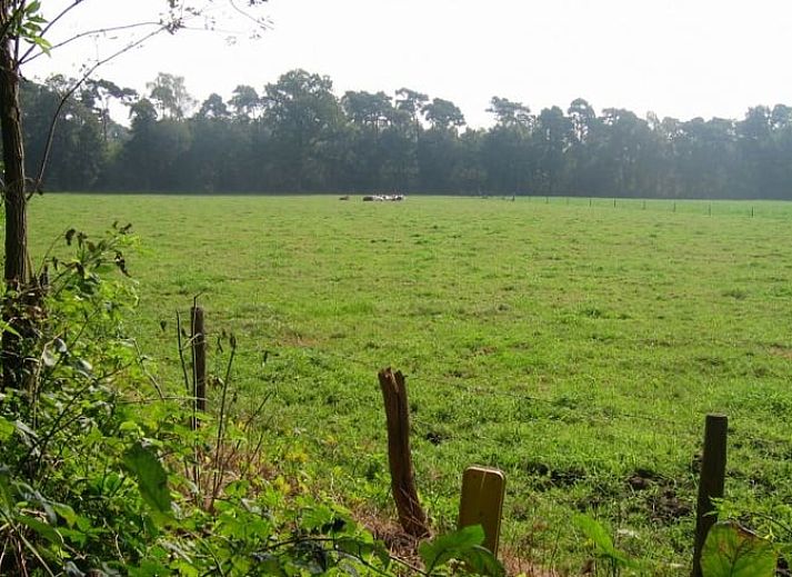 Knusse woonkamer van Vakantiehuisje in Hengelo, Achterhoek, met moderne voorzieningen.