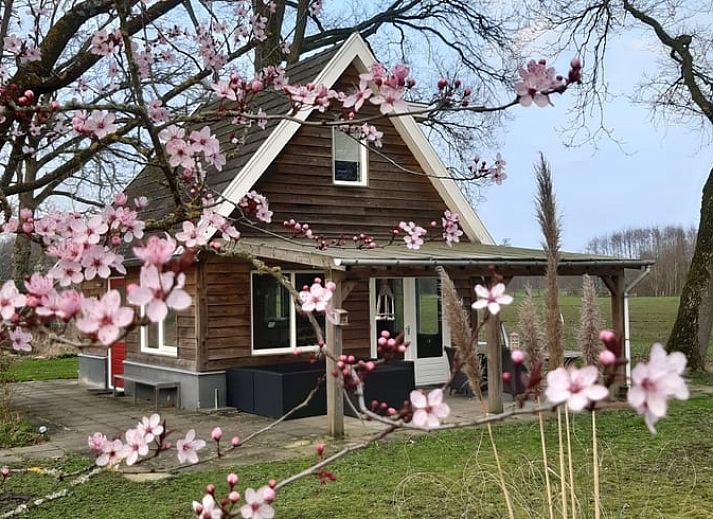 Vakantiehuisje in Hengelo GLD, Varssel, Bronckhorst omgeven door bloesems in de Achterhoek, Gelderland.