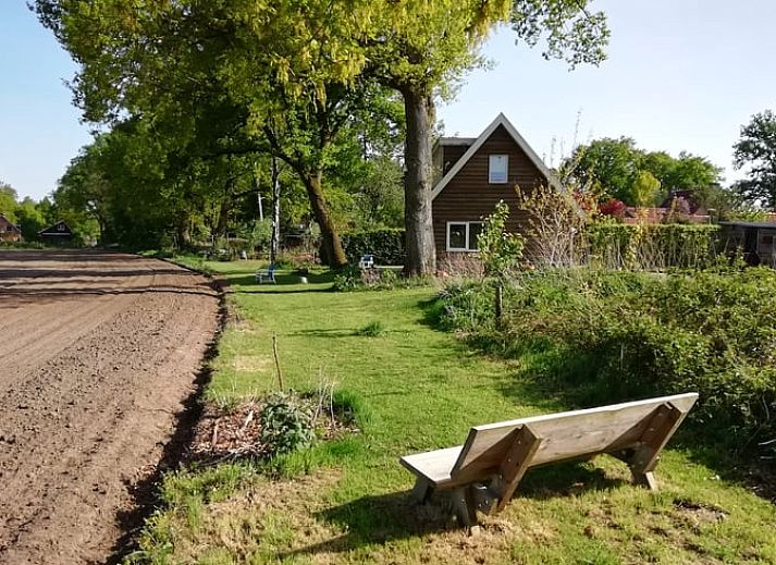 Wilde reeen in de omgeving van Vakantiehuisje in Hengelo GLD, Achterhoek, Gelderland.