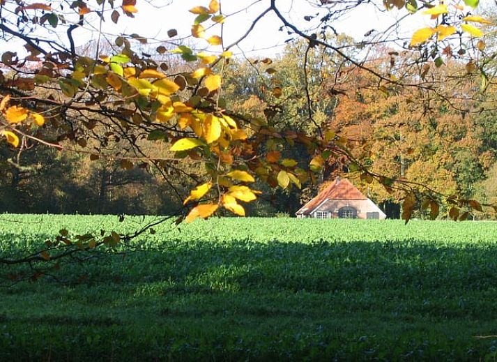 Unterkunft 292222 - Ferienhaus Achterhoek - Vakantiehuisje in Hengelo Gld