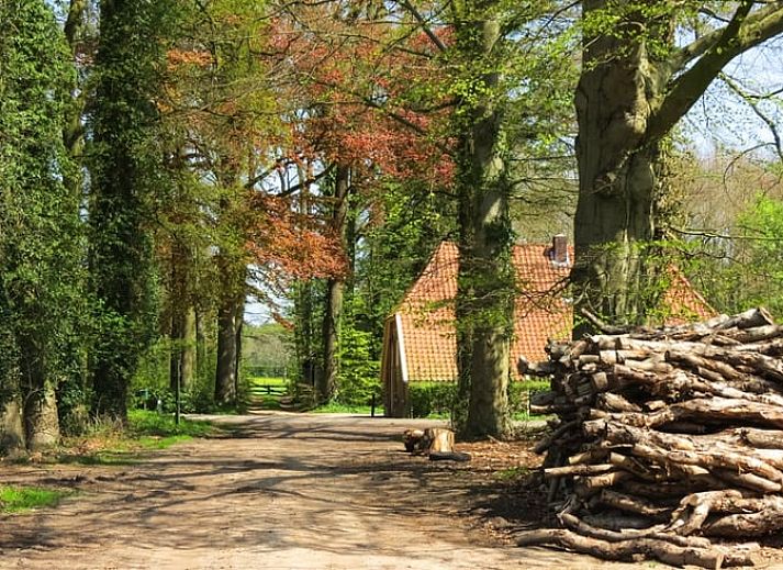 Unterkunft 292222 - Ferienhaus Achterhoek - Vakantiehuisje in Hengelo Gld