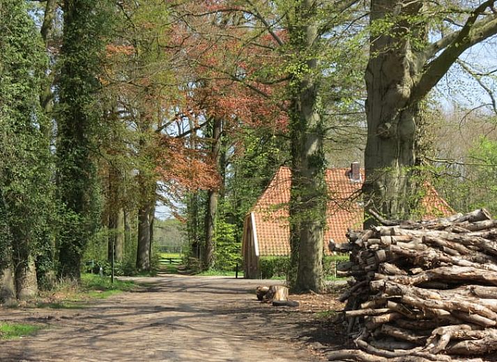 Unterkunft 292222 - Ferienhaus Achterhoek - Vakantiehuisje in Hengelo Gld