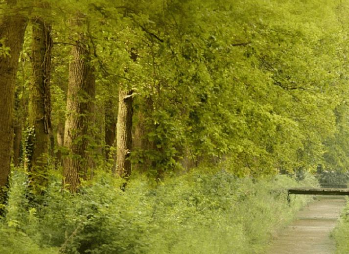 Unterkunft 292222 - Ferienhaus Achterhoek - Vakantiehuisje in Hengelo Gld