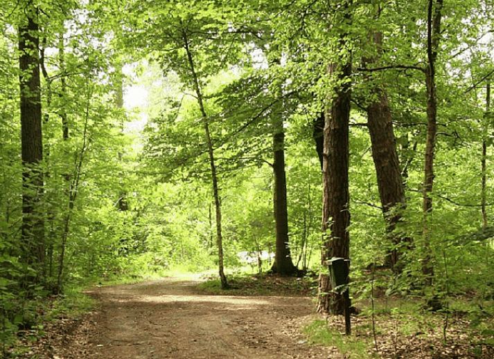 Unterkunft 292222 - Ferienhaus Achterhoek - Vakantiehuisje in Hengelo Gld