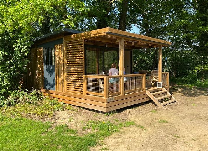 Guest house 292227 • Holiday property Achterhoek • Vakantiehuis in Hengelo (Gld)