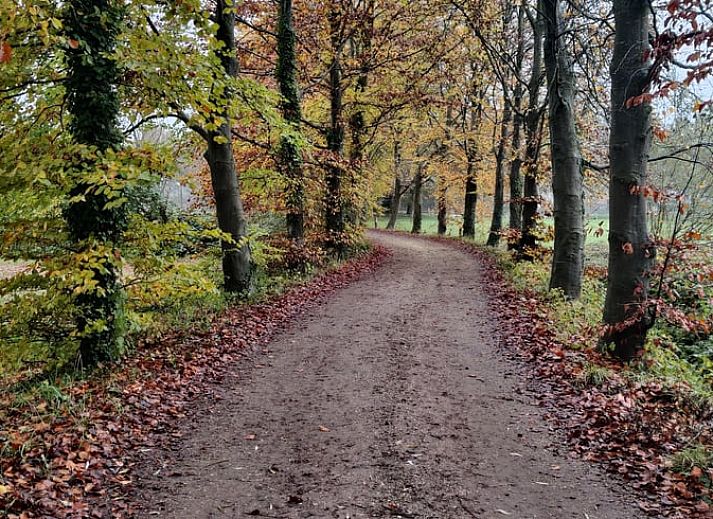 Unterkunft 292228 - Ferienhaus Achterhoek - Huisje in Hengelo (Gld)