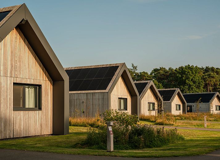 Guest house 292234 - Bungalow Achterhoek - 4-persoons villa | 4ELZ