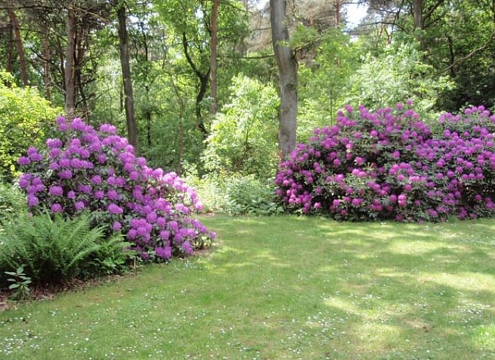 Ferienhaus in Harfsen mit schoener Veranda in der gruenen Achterhoek, Gelderland.