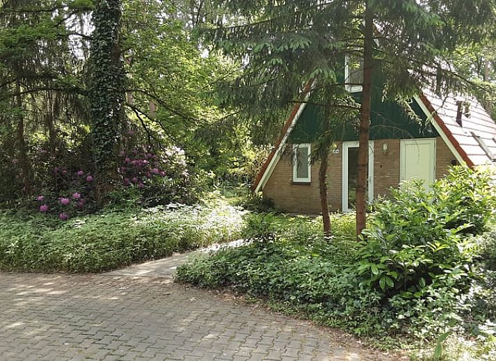 Ferienhaus in Harfsen, gelegen in der ueppigen Landschaft von Achterhoek, Gelderland.