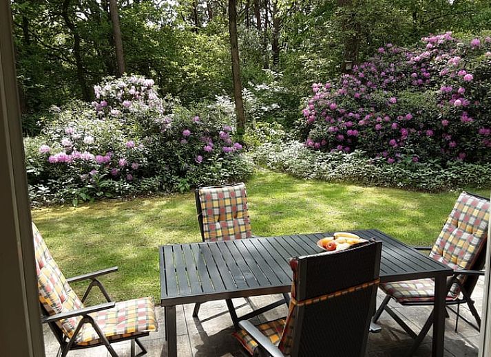 Ferienhaus in Harfsen, gelegen in der ueppigen Landschaft von Achterhoek, Gelderland.