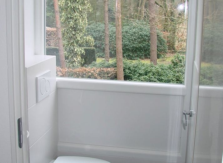 Ferienhaus in Harfsen, umgeben von bluehenden Rhododendren, Achterhoek, Gelderland.