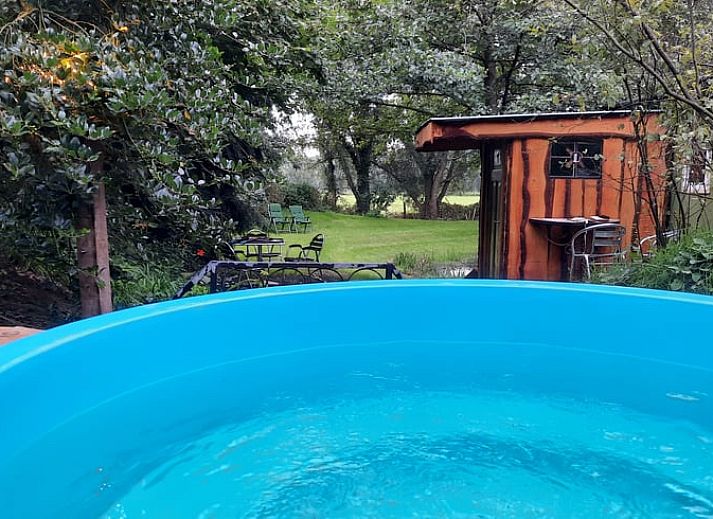 Ferienhaus in Harfsen, in der gruenen Landschaft von Achterhoek, Gelderland, mit Blick auf einen ruhigen Teich.