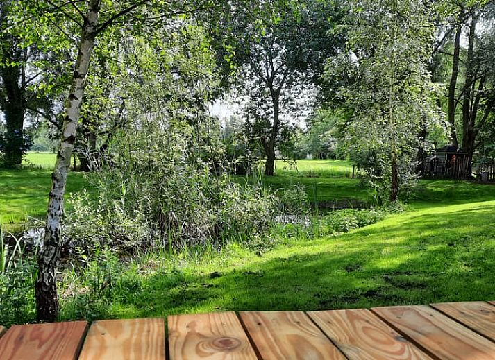 Entspannen Sie sich im Garten des Ferienhauses in Harfsen, Gelderland, mit Jacuzzi und rustikaler Umgebung in der Region Achterhoek.