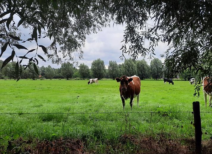 Gemuetliches Wohnzimmer des Ferienhauses in Harfsen, Achterhoek, Gelderland mit Blick in die Natur und bequemer Sitzecke.