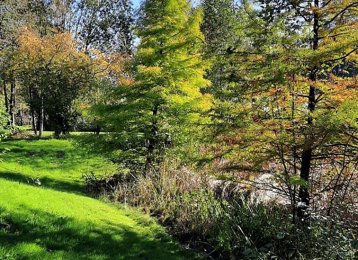 Gemuetlicher Innenbereich des Ferienhauses in Harfsen, Achterhoek, mit Blick auf die Natur vom Wohnzimmer aus in Gelderland.