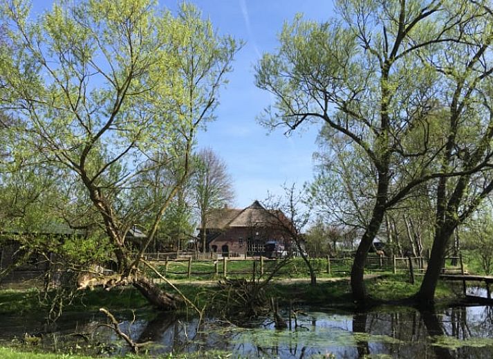 Gemuetlicher Innenbereich des Ferienhauses in Harfsen, Achterhoek, mit Blick auf die Natur vom Wohnzimmer aus in Gelderland.
