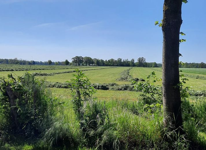 Gemuetlicher Innenbereich des Ferienhauses in Harfsen, Achterhoek, mit Blick auf die Natur vom Wohnzimmer aus in Gelderland.